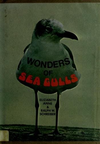 Anne Elizabeth Schreiber Ralph