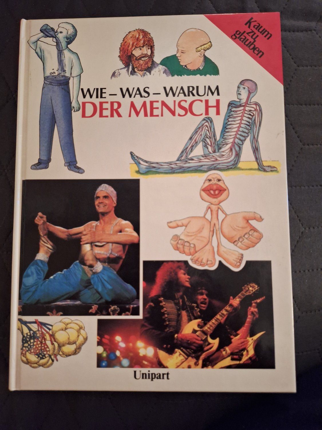 Rex, Dieter