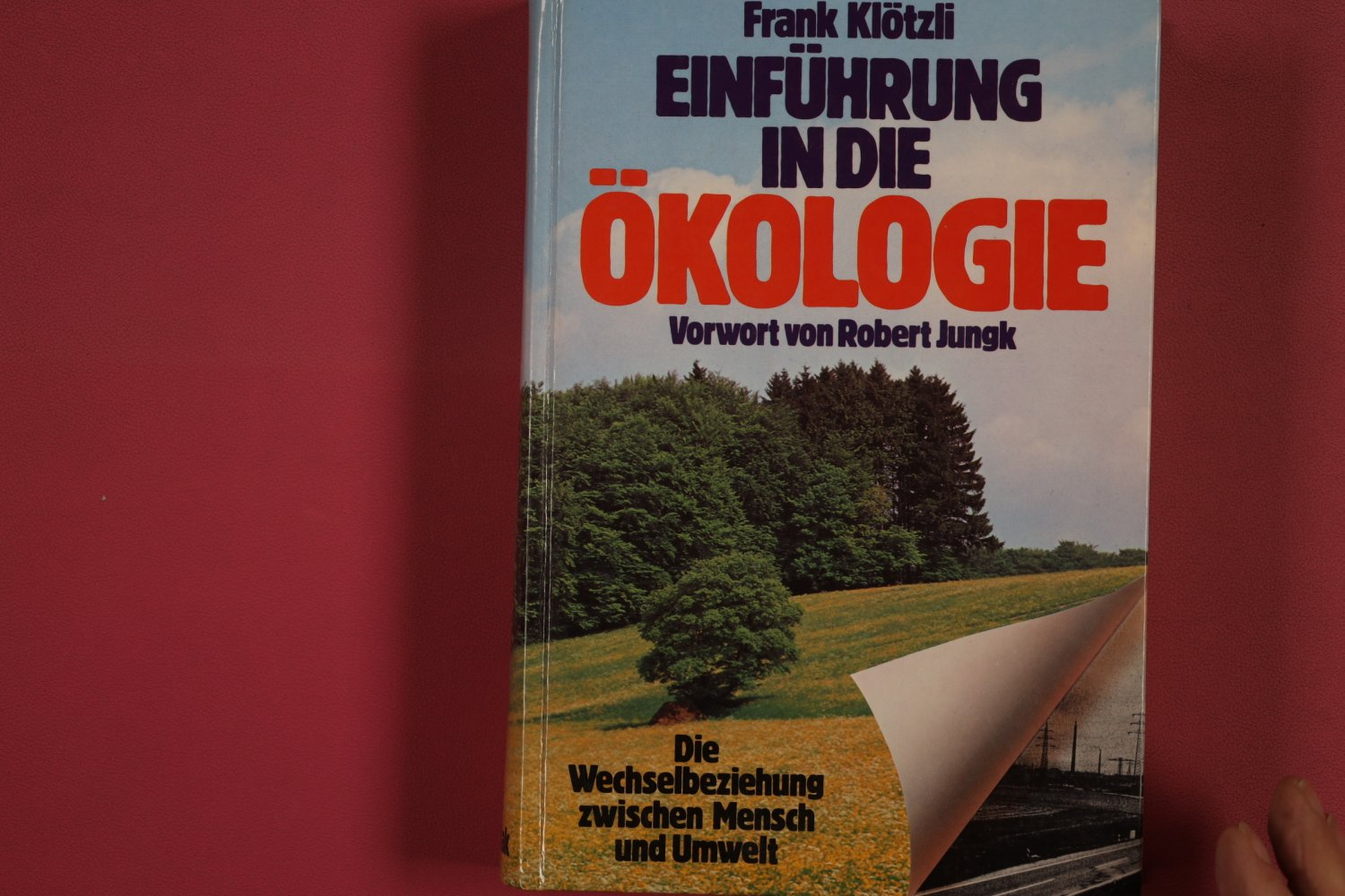 Frank Klötzli
