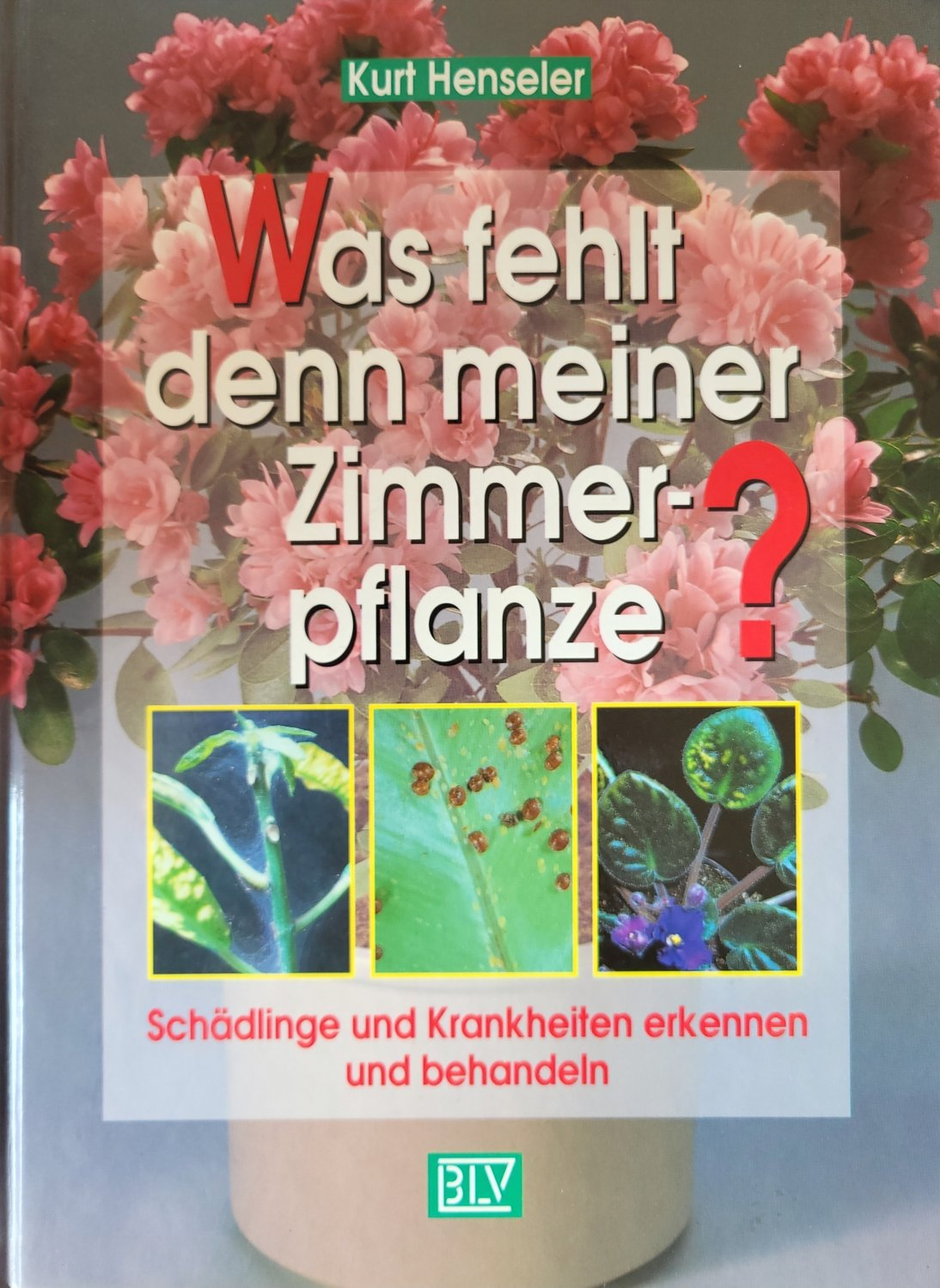 Kurt Henseler
