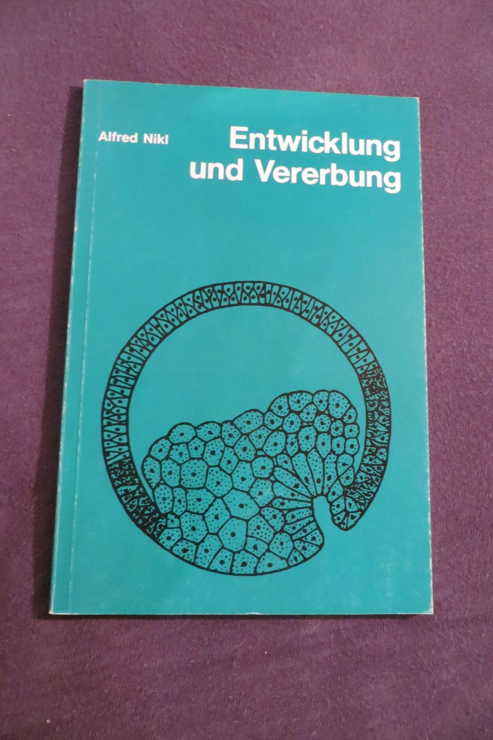 Nikl, Alfred