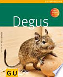 Alexandra Beisswenger