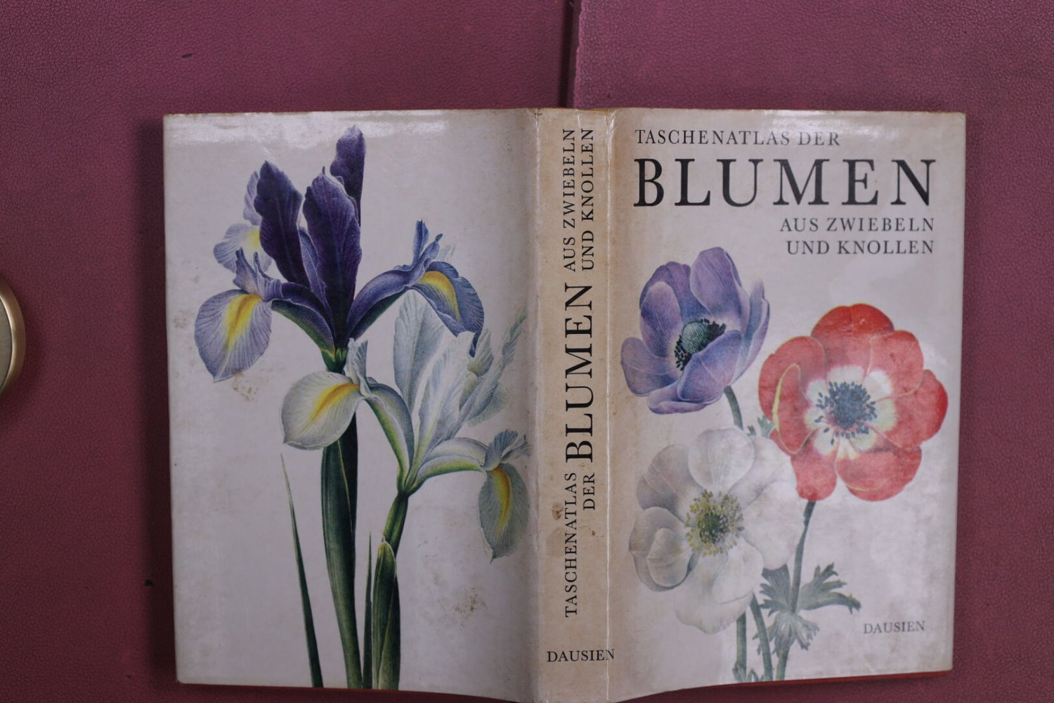 Eva Petrová, Frantisek Severa