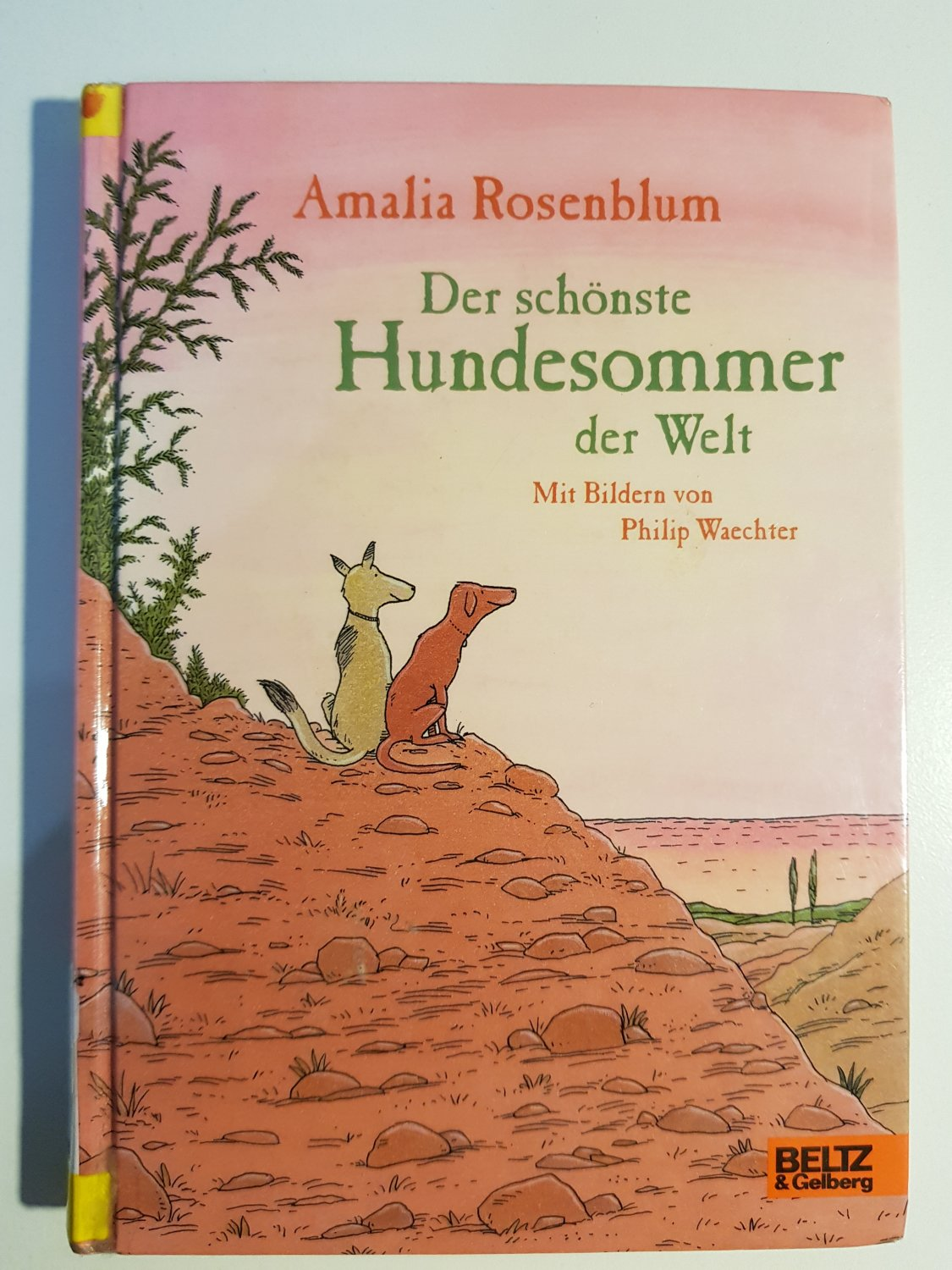 Amalia Rosenblum