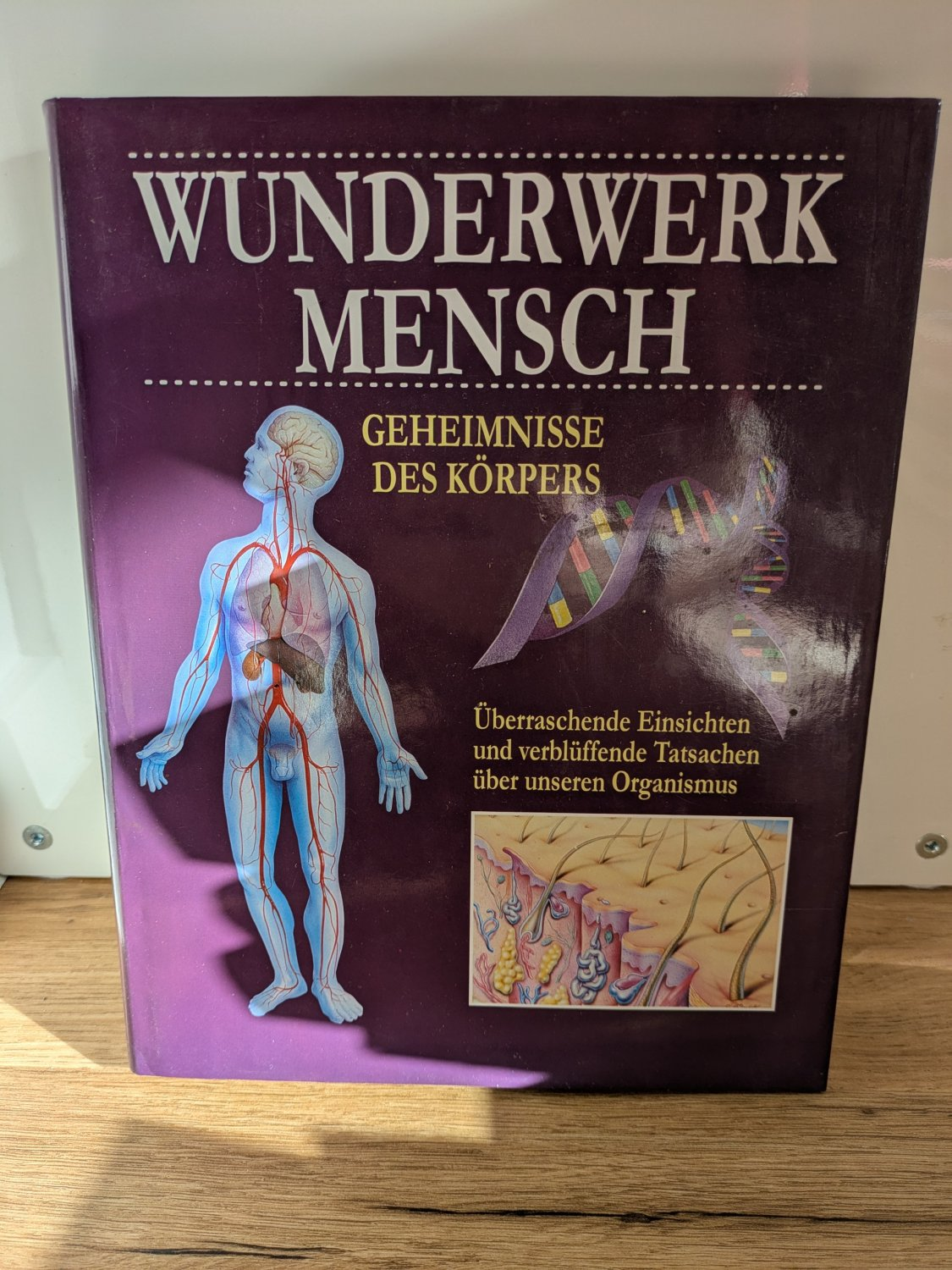 Das Beste (Hg.)