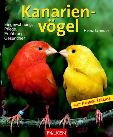 Schnoor, Heinz