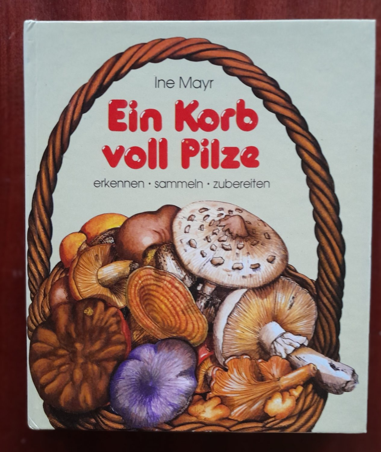 Ine Mayr