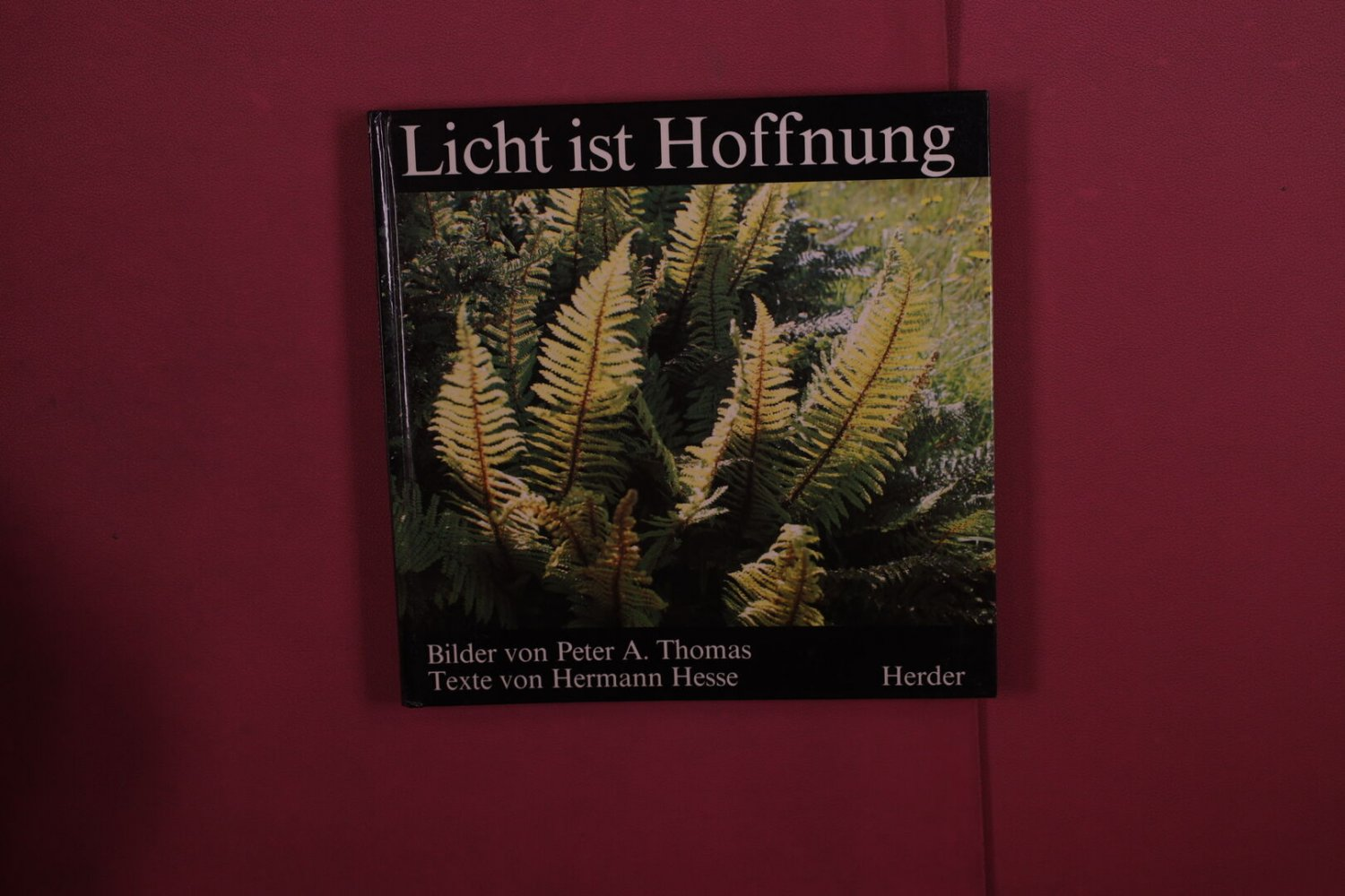 Hermann Hesse, Peter A. Thomas