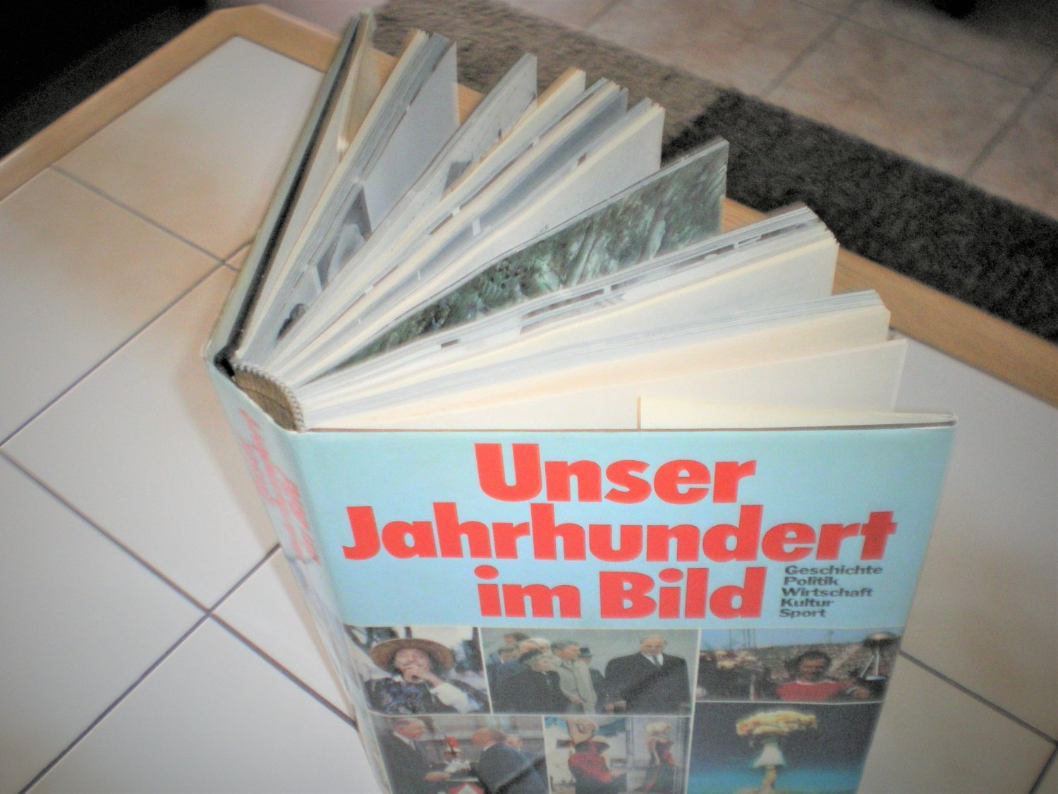 Golo Mann (Einl.), P. Kluke, W. Conze, O. E. Schüddekopf,K. D. Bracher, H.A.Jacobsen, H. Herzfeld