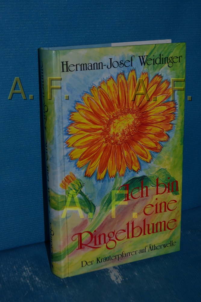 Hermann-Josef Weidinger