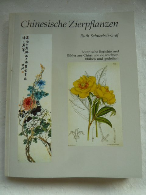 Ruth Schneebeli-Graf