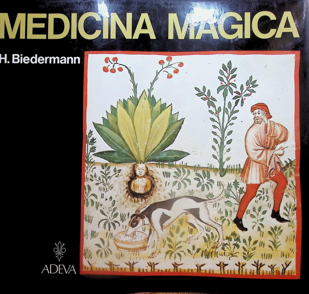 Hans Biedermann