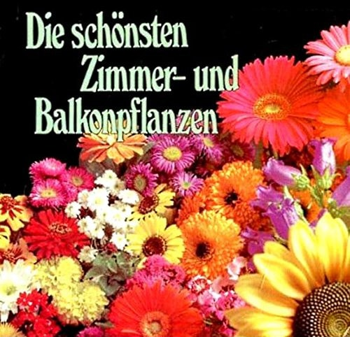 Moin Allan