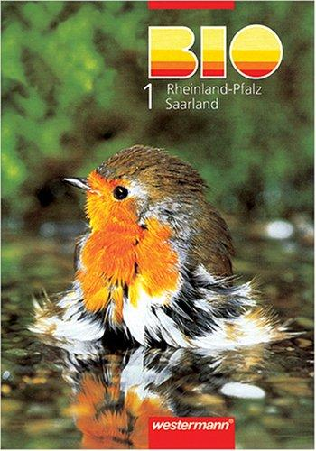 Schoof Collmann Nolof