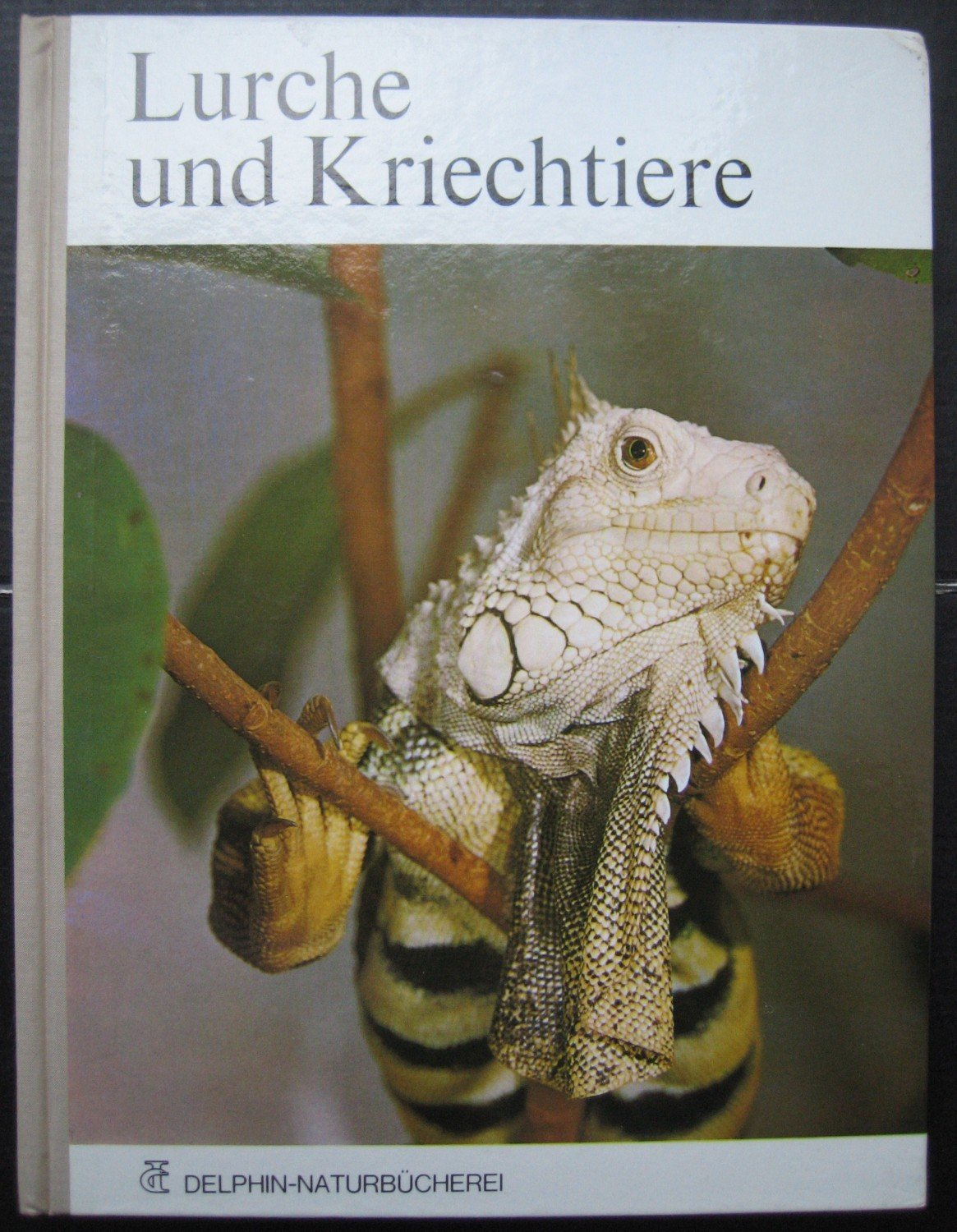 Schröder Heinz
